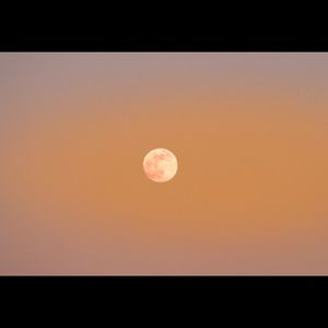 Meet your Posher, Micah